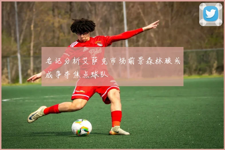 名记分析艾萨克市场前景森林狼或成争夺焦点球队
